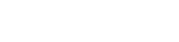 The Soulmate Planner